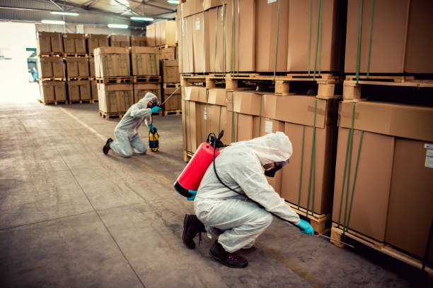 Best Exterminator Services  in Tice, FL