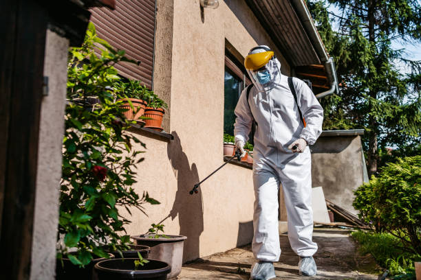 Best Emergency Pest Control  in Tice, FL