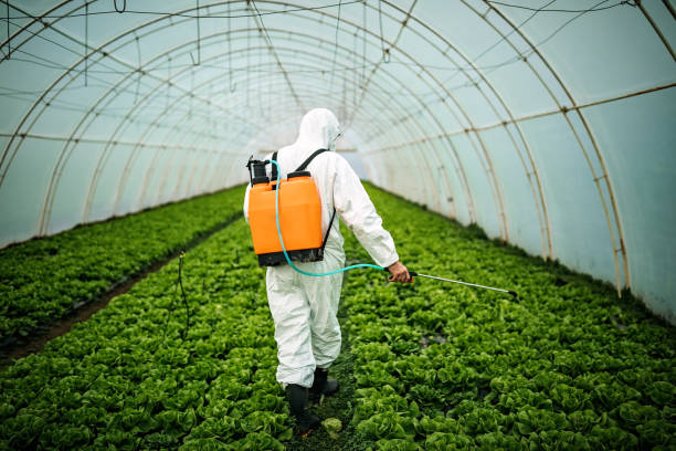 Best Insect Control  in Tice, FL