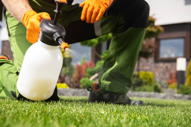 Best Local Pest Control Services  in Tice, FL