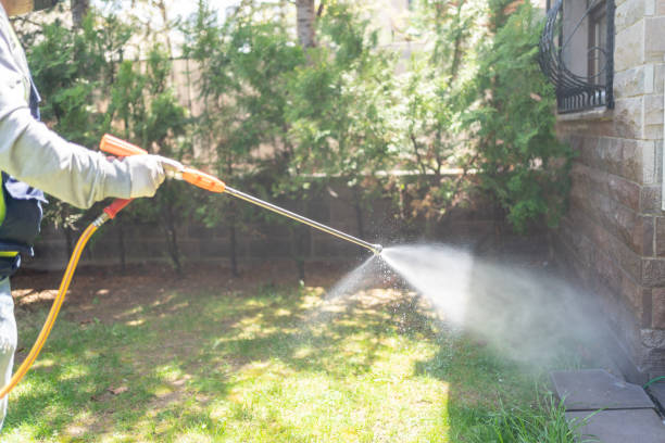 Best Local Pest Control Services  in Tice, FL