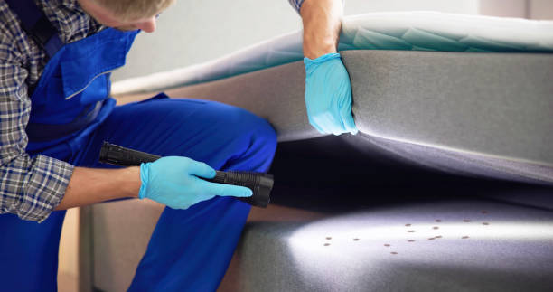 Best Cockroach Control Services  in Tice, FL